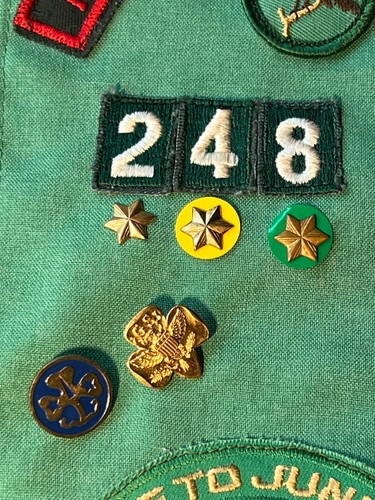 Vintage early 1970s Girl Scouts Cadette Sash with Merit badges and pins, patches - Picture 5 of 8