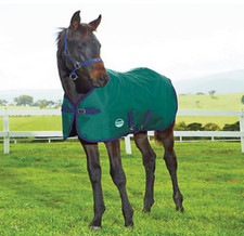 WeatherBeeta 1200D Standard Neck 220g Medium Foal Blanket 45" Hunter/Navy NEW