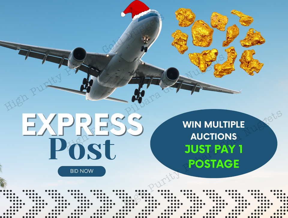 west australian rare natural pilbara gold nuggets & specimens weight 3.