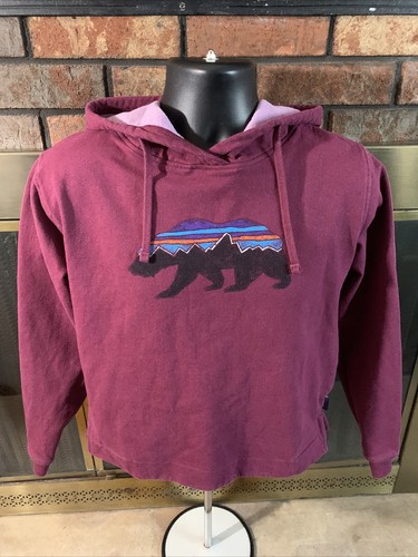patagonia fitz roy bear moletom com capuz