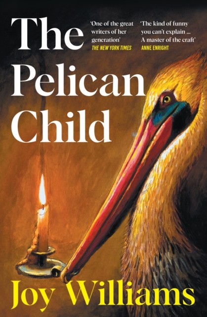The Pelican Child : Longlisted For The 2025 National Book Award Joy Williams - Image 5