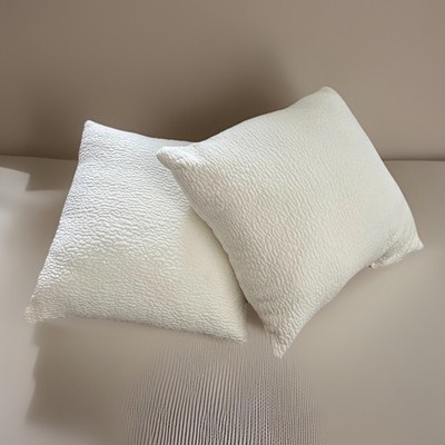 Maeve Set of Hypoallergenic Textured Decorative Pillows 22”x22” Ivory OB 