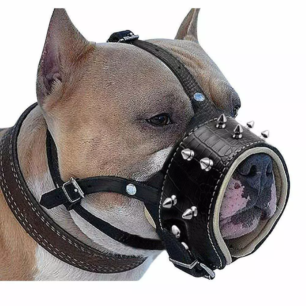 Muzzle for top pit bulls