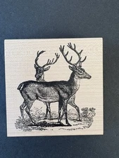 Impress Deer Duo Buck Realistic Wild Animals Rubber Stamp