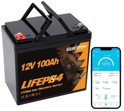 Mini 12V 100Ah LiFePO4 Lithium Bluetooth Battery for Solar, RV, Trolling Motor