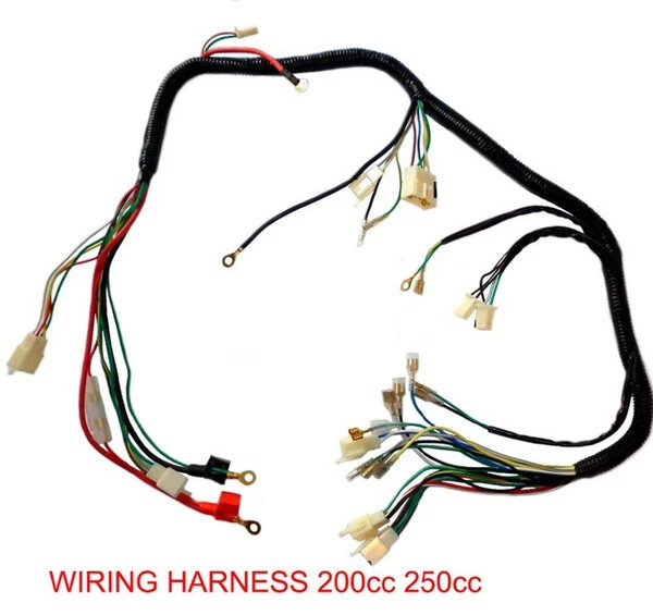 QUAD WIRING HARNESS 200 250cc Chinese Electric start Loncin zongshen ducar Lifan