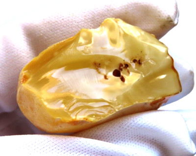 Baltic Yellow AMBAR, Uncleaned Raw, 10 gr