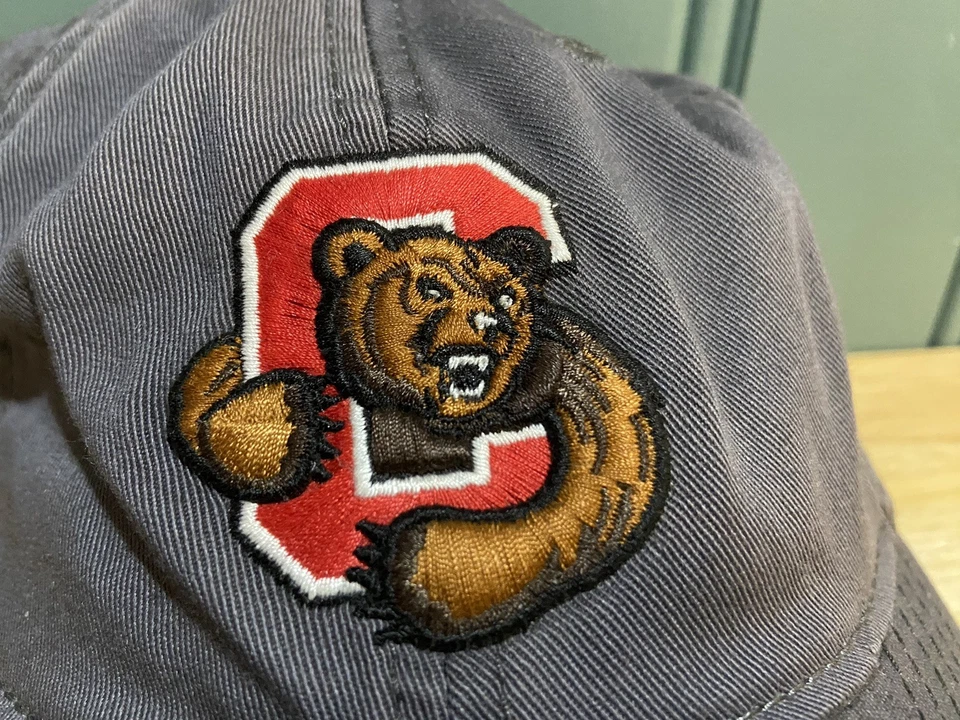 Cornell University Big Red Bear Hat Gray Adjustable  Dad Baseball Cap Ivy Strap - Image 2 of 4