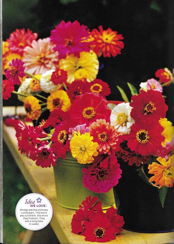 Southern Living Easy Gardening Magazine Backyard Flowers Best Shrubs Vegetables - Image 4 of 4