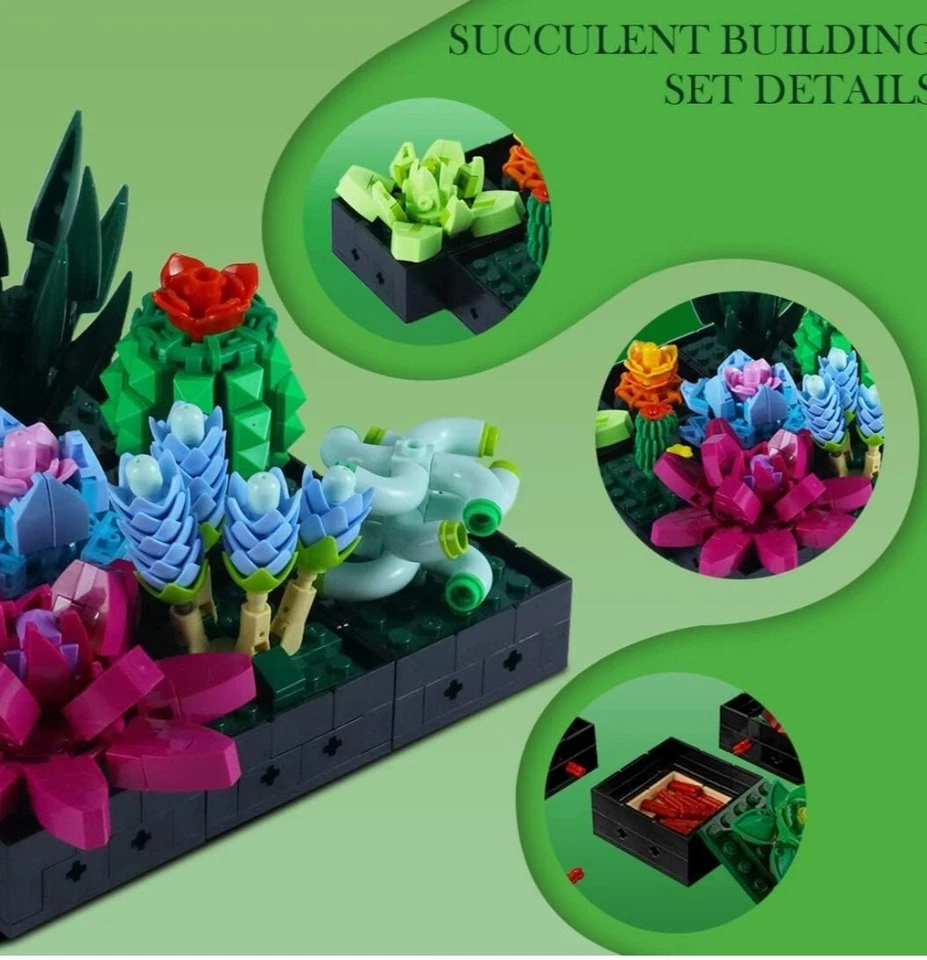 Succulent Bonsai Building Kit, - Image 4 of 4