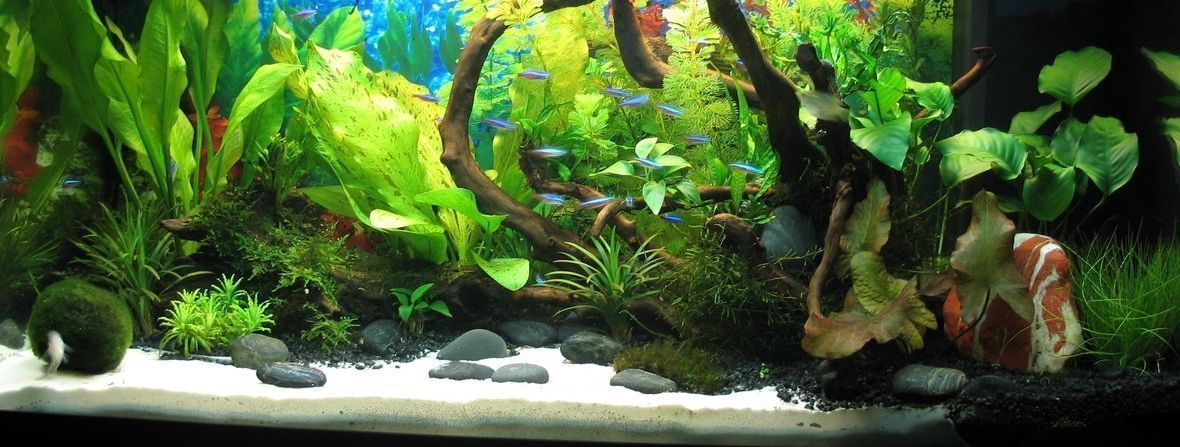 Picture 6 of 9