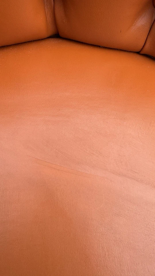 Silla contemporánea naranja quemada con patas de nogal rara  Foto 4 de 4