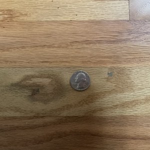 1982 Coin With Mint Error Next To Back Of Head