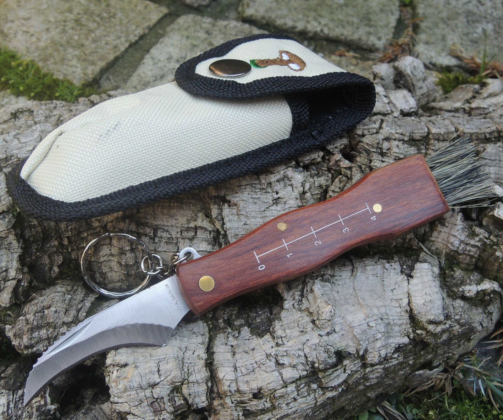 Albainox Pilzmesser Mushroom Schwammerlmesser Taschenmesser m. Bürste + Etui - Image 2