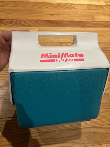 Mini Glacière Igloo Mini Mate Vintage 90's - Vert, Blanc, Violet - Made In USA