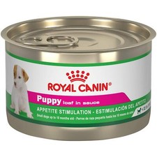 Royal Canin Puppy Loaf in Sauce Wet Dog Food for Small Breeds 5.2 Ounce