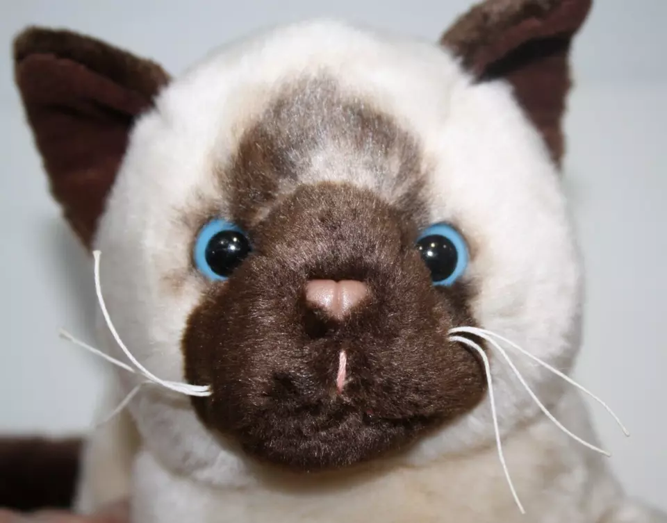 Ganz Siamese Cream Brown Kitten Cat 10" Plush Stuffed Animal Soft Toy H10264 - Image 4 of 4