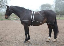 Shires Longiertrainingshilfe | schwarz | Einheitsgr&ouml;&szlig;e | verstellbar auf 4 Stufen