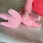 Bild 11 von 13