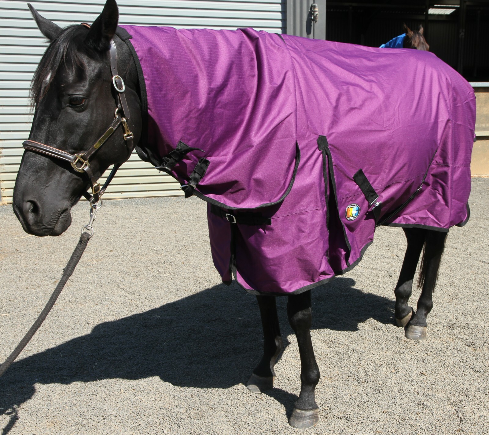 Premium Quality Horse Rug Rainsheet 600 D Combo Lavandula on Sale eBay