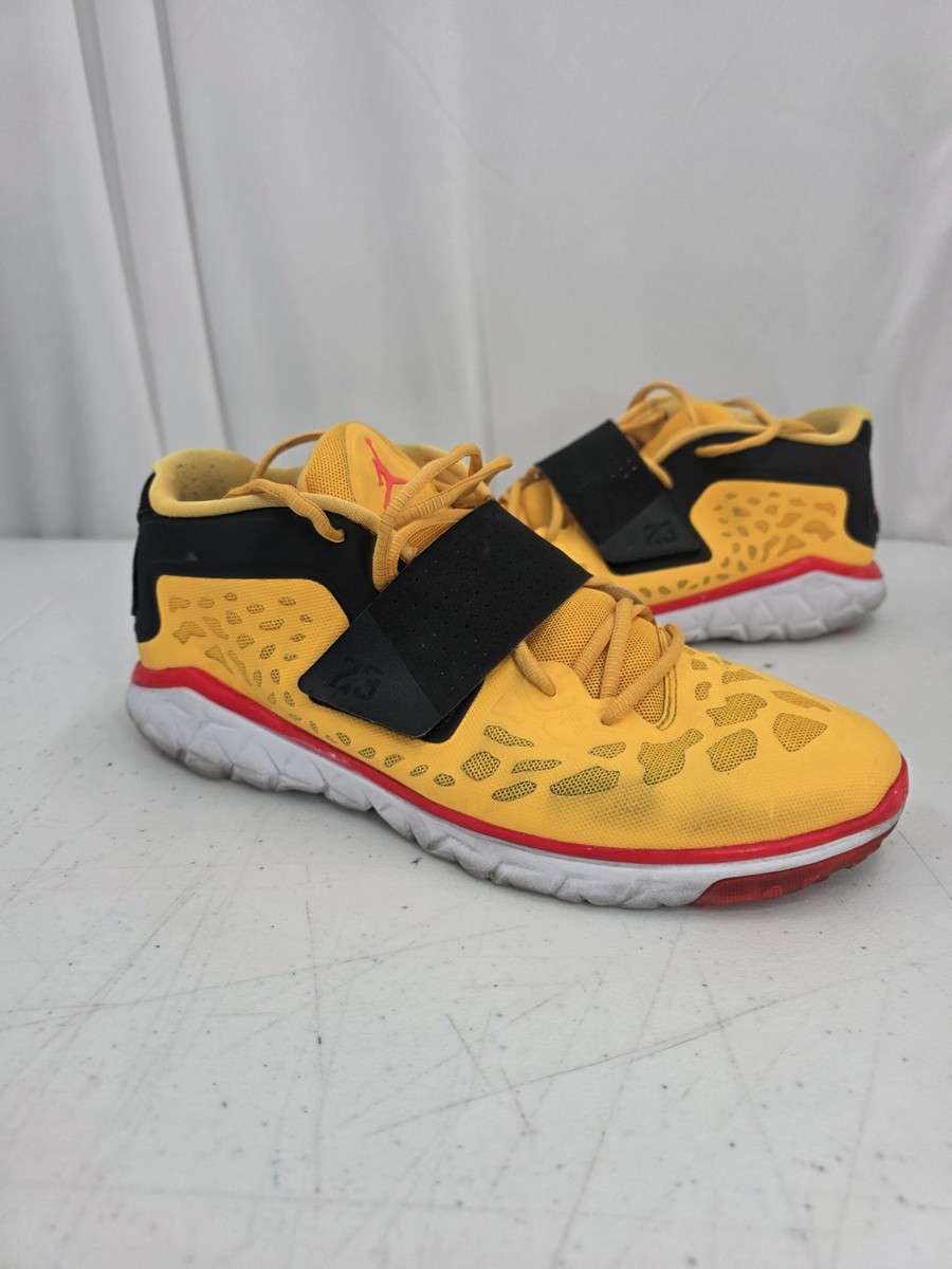 Nike Jordan Flight Flex Trainer 2 Goat Men display picture 3