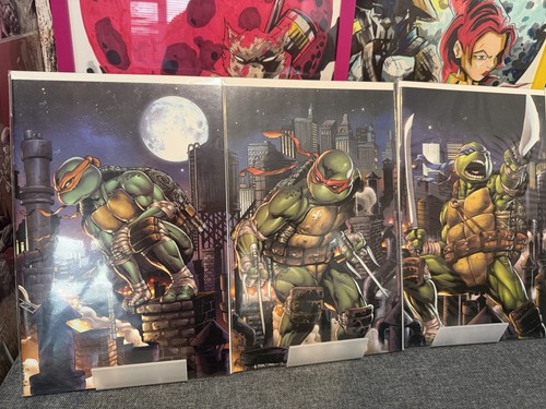 Teenage Mutant Ninja Turtles #101, #102, #103, #104 & #105 - Connecting Covers