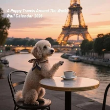 Wall Calendar Dogs 12 Month Large Planner Calendar