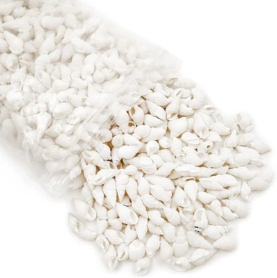 White Clam Cay Sea Shells for Home Small, About 350pcs spiral shape 