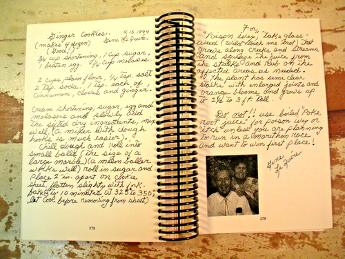 RECIPES, REMEDIES & RUMORS Vol 1 Cades Cove Preservation Assn Cookbook Tennessee - Picture 18 of 24