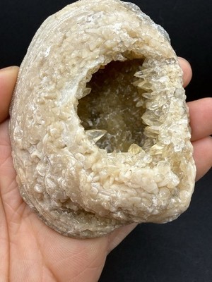Ruck s Pit Florida UV Calcite Crystal Clam Fossil Golden Dogtooth Calcite RP-014