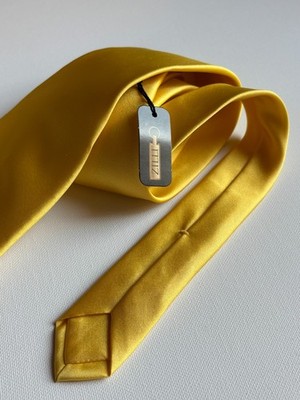 NWT Zilli Silk Tie bs77