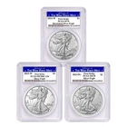 3pc Set - 2023-W $1 1-oz American Silver Eagle PCGS Type Set PCGS MS70 PR70