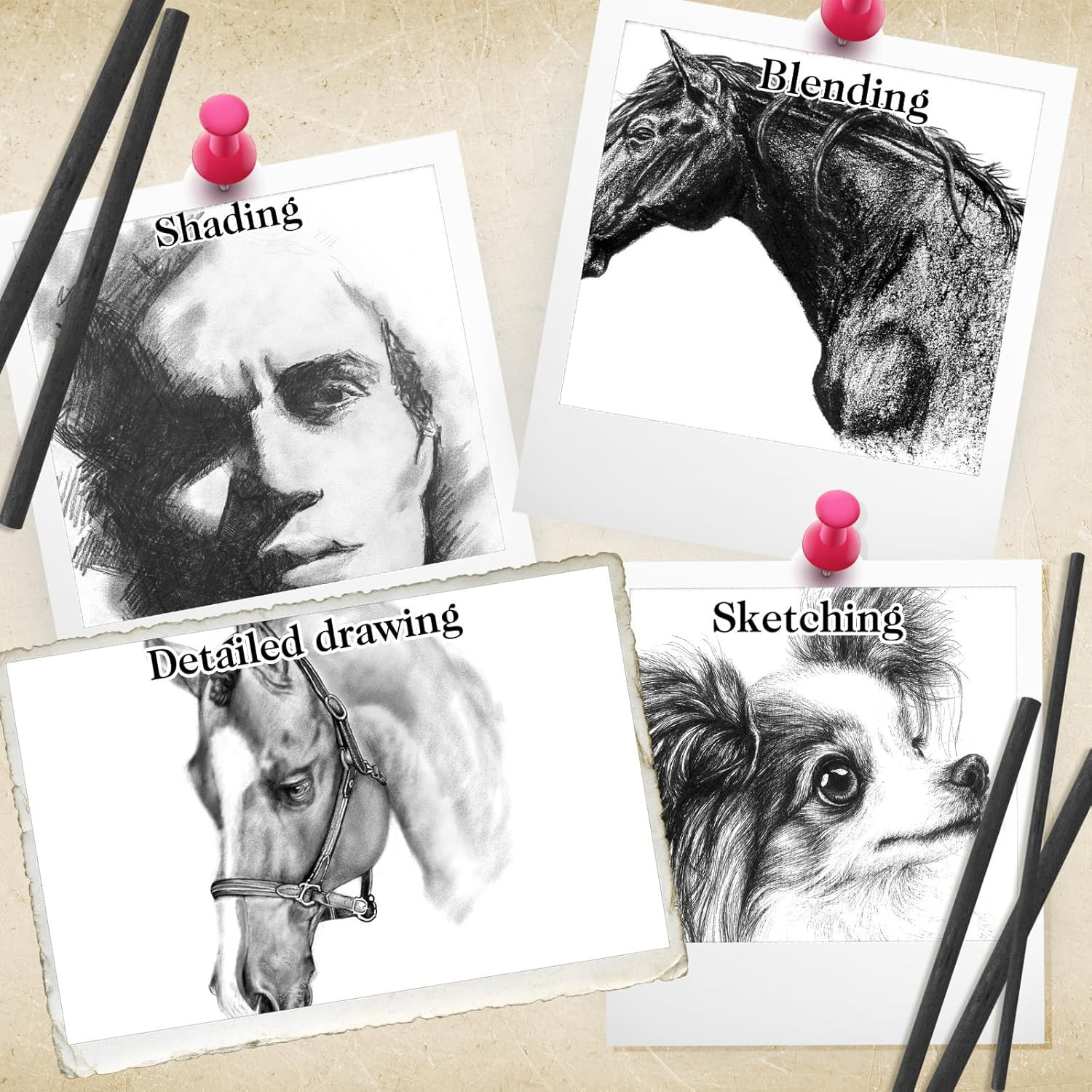 200 Pieces Willow Charcoal Sticks, Willow Charcoal, Soft Black Drawing Charco...