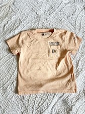 Carhartt National Park Graphic Pocket Tee Sho...