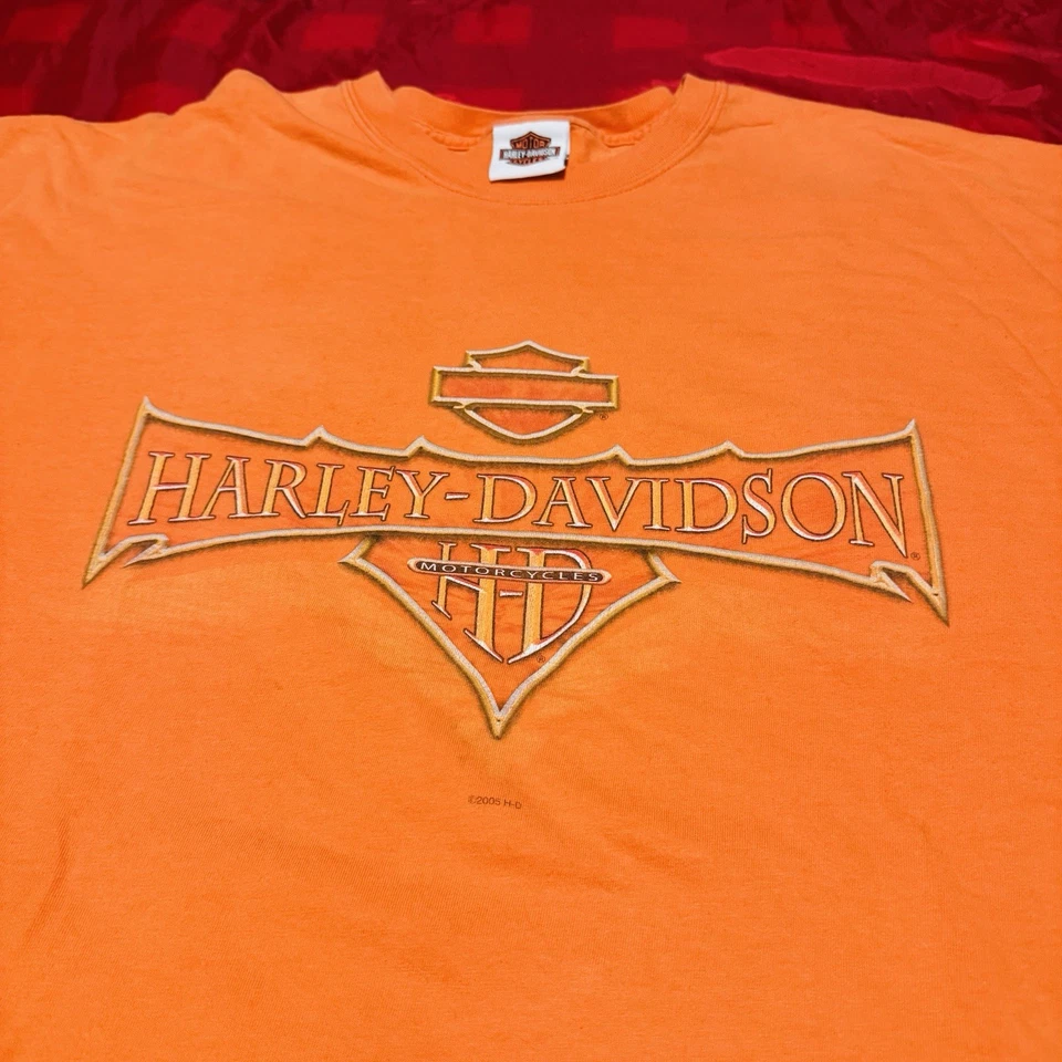 Camisa De Colección Y2K Para Hombres 3XL Harley-Davidson Manga Larga Espada Motociclista Foto 3 de 4