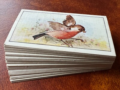 cigarette cards ebay uk C.W.S Cigarette Cards Full Set of 48 - British And Foreign Birds 1938