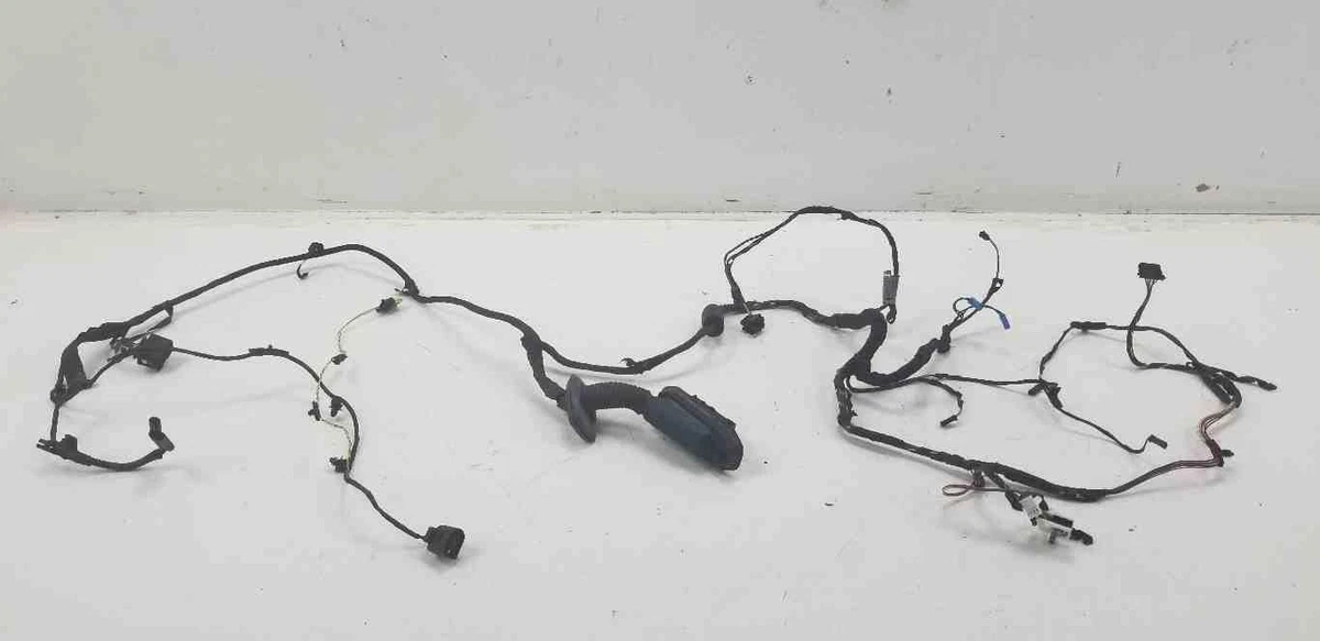 2010 - 2015 BMW 750LI FRONT LEFT DRIVER DOOR WIRE WIRING HARNESS 