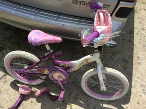 bell training wheels