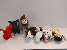 TY Beanie Baby Dog Lot of 7 - Mint Condition