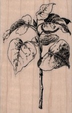 Leafy Twig 2 1/2 x 3 3/4" Rubber Stamp, Plants Stamp, Flowers, Trees
