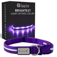 Blazin LED Light Up Dog Collar - USB Rechargeable, Waterproof - Visible Up to 10