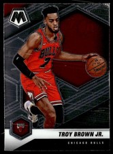 2020-21 Panini Mosaic Troy Brown Jr. Chicago Bulls #11