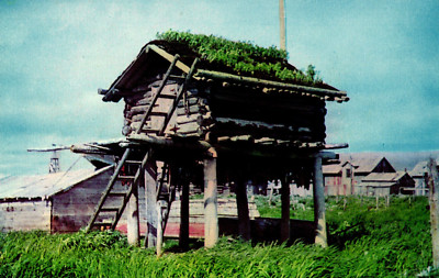 Alaska Cache Food and Supply Storage Posted 1959 Vintage Postcard