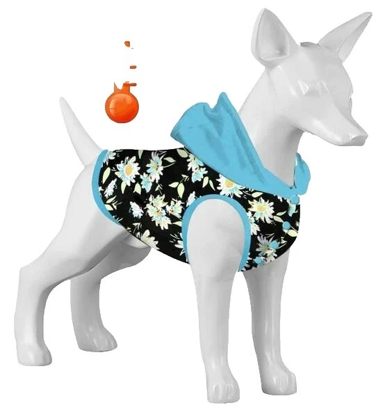 Ropa y zapatos para perro multicolor Franela