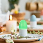 12 Pcs Fillable Easter Eggs Plastic Easter Eggs Creative Twisting