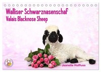 Walliser Schwarznasenschaf Valais Blacknose Sheep (Tischkalender 2027 DIN A5 Que