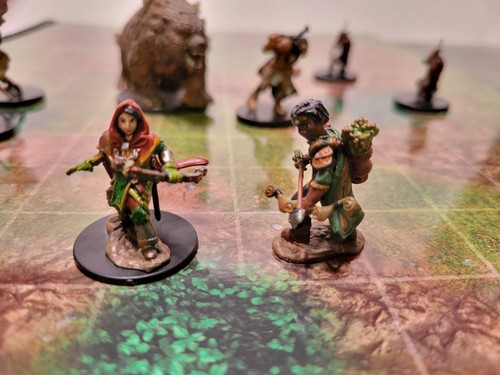 Natures Fury Encounter- 8 D&D Miniatures - Ready Made Encounter - Icons - Picture 6 of 7