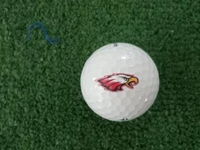 Logo Golf Ball - Eagles