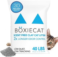 Boxie  Unscented 30 Day Natural Odor Control Cat Litter, 40Lb Clumping Clay Kitt
