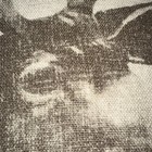 Picture 6 of 16